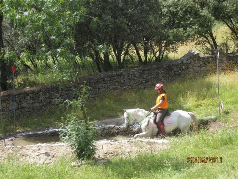 La Selección Navarra de Trec se clasifica para el Campeonato de España 2011